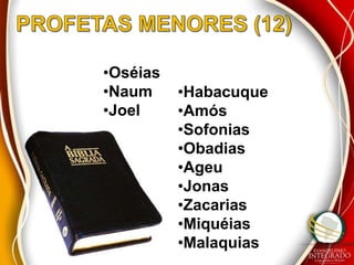 •Oséias
•Naum     •Habacuque
•Joel     •Amós
          •Sofonias
          •Obadias
          •Ageu
          •Jonas
          •Zacarias
          •Miquéias
          •Malaquias
 