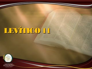 LEVÍTICO 11LEVÍTICO 11
 
