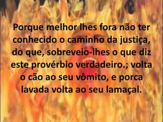 Porque melhor lhes fora não ter
conhecido o caminho da justiça,
do que, sobreveio-lhes o que diz
este provérbio verdadeiro.; volta
  o cão ao seu vômito, e porca
  lavada volta ao seu lamaçal.
 