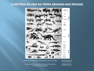 A HISTÓRIA DA VIDA NA TERRA GRAVADA NAS ROCHAS
Raros fósseis e primeiros invertebrados, animais e plantas PROTEROZOICA
1.400 milhões de anos atraz
Traços de animais e plantas extremamente primitivos
Primeiras rochas datadas
ARQUEOZOICA
1.850 milhões de anos atraz
 