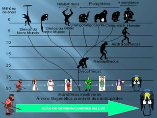 AÇÃO DO HOMEM-CAMINHO DA LUZ
 