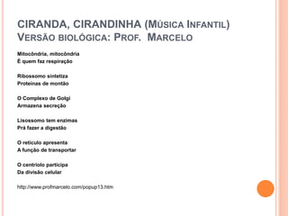 CIRANDA, CIRANDINHA (MÚSICA INFANTIL)
VERSÃO BIOLÓGICA: PROF. MARCELO
Mitocôndria, mitocôndria
É quem faz respiração
Ribossomo sintetiza
Proteínas de montão
O Complexo de Golgi
Armazena secreção
Lisossomo tem enzimas
Prá fazer a digestão
O retículo apresenta
A função de transportar
O centríolo participa
Da divisão celular
http://www.profmarcelo.com/popup13.htm
 