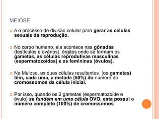MEIOSE
 é o processo de divisão celular para gerar as células
sexuais da reprodução.
 No corpo humano, ela acontece nas gônadas
(testículos e ovários), órgãos onde se formam os
gametas, as células reprodutivas masculinas
(espermatozoides) e as femininas (óvulos).
 Na Meiose, as duas células resultantes (os gametas)
têm, cada uma, a metade (50%) do número de
cromossomos da célula inicial.
 Por isso, quando os 2 gametas (espermatozoide e
óvulo) se fundem em uma célula OVO, esta possui o
número completo (100%) de cromossomos
 