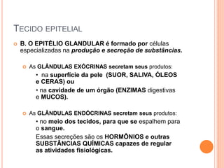 TECIDO EPITELIAL
 B. O EPITÉLIO GLANDULAR é formado por células
especializadas na produção e secreção de substâncias.
 As GLÂNDULAS EXÓCRINAS secretam seus produtos:
• na superfície da pele (SUOR, SALIVA, ÓLEOS
e CERAS) ou
• na cavidade de um órgão (ENZIMAS digestivas
e MUCOS).
 As GLÂNDULAS ENDÓCRINAS secretam seus produtos:
• no meio dos tecidos, para que se espalhem para
o sangue.
Essas secreções são os HORMÔNIOS e outras
SUBSTÂNCIAS QUÍMICAS capazes de regular
as atividades fisiológicas.
 