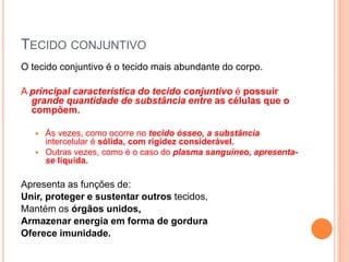 TECIDO CONJUNTIVO
O tecido conjuntivo é o tecido mais abundante do corpo.
A principal característica do tecido conjuntivo é possuir
grande quantidade de substância entre as células que o
compõem.
 Às vezes, como ocorre no tecido ósseo, a substância
intercelular é sólida, com rigidez considerável.
 Outras vezes, como é o caso do plasma sanguíneo, apresenta-
se líquida.
Apresenta as funções de:
Unir, proteger e sustentar outros tecidos,
Mantém os órgãos unidos,
Armazenar energia em forma de gordura
Oferece imunidade.
 