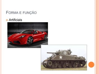 FORMA E FUNÇÃO
 Artificiais
 