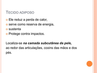 TECIDO ADIPOSO
 Ele reduz a perda de calor,
 serve como reserva de energia,
 sustenta
 Protege contra impactos.
Localiza-se na camada subcutânea da pele,
ao redor das articulações, coxins das mãos e dos
pés.
 