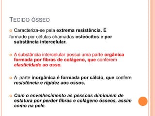 TECIDO ÓSSEO
 Caracteriza-se pela extrema resistência. É
formado por células chamadas osteócitos e por
substância intercelular.
 A substância intercelular possui uma parte orgânica
formada por fibras de colágeno, que conferem
elasticidade ao osso.
 A parte inorgânica é formada por cálcio, que confere
resistência e rigidez aos ossos.
 Com o envelhecimento as pessoas diminuem de
estatura por perder fibras e colágeno ósseos, assim
como na pele.
 