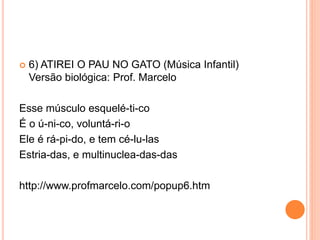  6) ATIREI O PAU NO GATO (Música Infantil)
Versão biológica: Prof. Marcelo
Esse músculo esquelé-ti-co
É o ú-ni-co, voluntá-ri-o
Ele é rá-pi-do, e tem cé-lu-las
Estria-das, e multinuclea-das-das
http://www.profmarcelo.com/popup6.htm
 