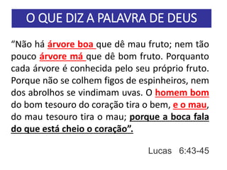 O QUE DIZ A PALAVRA DE DEUS
“Não há árvore boa que dê mau fruto; nem tão
pouco árvore má que dê bom fruto. Porquanto
cada árvore é conhecida pelo seu próprio fruto.
Porque não se colhem figos de espinheiros, nem
dos abrolhos se vindimam uvas. O homem bom
do bom tesouro do coração tira o bem, e o mau,
do mau tesouro tira o mau; porque a boca fala
do que está cheio o coração”.
Lucas 6:43-45
 