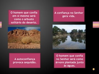 O homem que confia
em si mesmo será
como o arbusto
solitário do deserto.
O homem que confia
no Senhor será como
árvore plantada junto
às águas.
A autoconfiança
provoca sequidão.
A confiança no Senhor
gera vida.
 