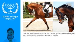 O Poder da Língua - Tiago 3.1-12