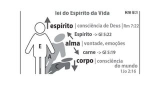 ESTUDO CORPO ALMA ESPIRITO.pptx