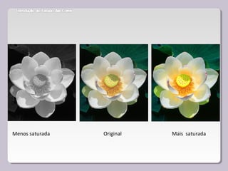 Menos saturada Original Mais saturada
 