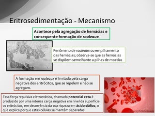 Eritrosedimentação - Mecanismo
                    Acontece pela agregação de hemácias e
                    consequente formação de rouleaux


                                 Fenômeno de rouleaux ou empilhamento
                                 das hemácias; observa-se que as hemácias
                                 se dispõem semelhante a pilhas de moedas



        A formação em rouleaux é limitada pela carga
        negativa dos eritrócitos, que se repelem e não se
        agregam.

Essa força repulsiva eletrostática, chamada potencial zeta é
produzido por uma intensa carga negativa em nível da superfície
os eritrócitos, em decorrência da sua riqueza em ácido siálico, o
que explica porque estas células se mantêm separadas
 