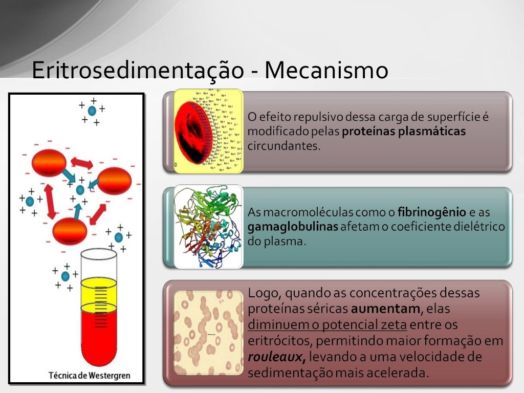 O Que é Velocidade De Hemossedimentação - RETOEDU