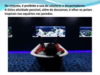 O espaço de trabalho é pequeno, mas as áreas de reuniões são muito amplas e temáticas. Esta cabine é de um autêntico teleférico e está situada em um andar decorado com fotos e objetos que lembram uma estação de esqui nos Alpes. 