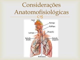 
Considerações
Anatomofisiológicas
 