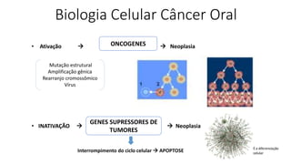 Biologia Celular Câncer Oral
• Ativação   NeoplasiaONCOGENES
Mutação estrutural
Amplificação gênica
Rearranjo cromossômico
Vírus
• INATIVAÇÃO   Neoplasia
GENES SUPRESSORES DE
TUMORES
Interrompimento do ciclo celular  APOPTOSE
 