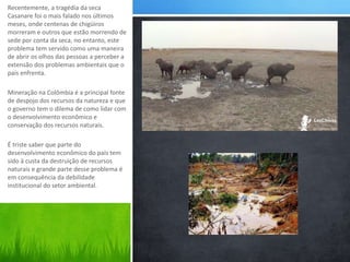 Recentemente, a tragédia da seca 
Casanare foi o mais falado nos últimos 
meses, onde centenas de chigüiros 
morreram e outros que estão morrendo de 
sede por conta da seca, no entanto, este 
problema tem servido como uma maneira 
de abrir os olhos das pessoas a perceber a 
extensão dos problemas ambientais que o 
país enfrenta. 
Mineração na Colômbia é a principal fonte 
de despojo dos recursos da natureza e que 
o governo tem o dilema de como lidar com 
o desenvolvimento econômico e 
conservação dos recursos naturais. 
É triste saber que parte do 
desenvolvimento econômico do país tem 
sido à custa da destruição de recursos 
naturais e grande parte desse problema é 
em consequência da debilidade 
institucional do setor ambiental. 
