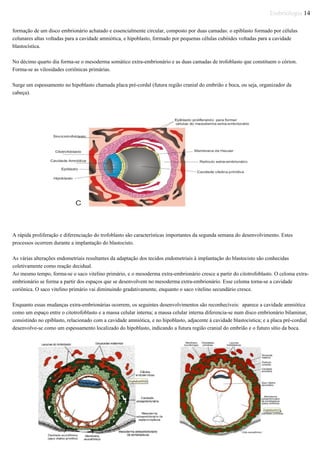 Embriologia 14
formação de um disco embrionário achatado e essencialmente circular, composto por duas camadas: o epiblasto formado por células
colunares altas voltadas para a cavidade amniótica, e hipoblasto, formado por pequenas células cubóides voltadas para a cavidade
blastocística.
No décimo quarto dia forma-se o mesoderma somático extra-embrionário e as duas camadas de trofoblasto que constituem o córion.
Forma-se as vilosidades coriônicas primárias.
Surge um espessamento no hipoblasto chamada placa pré-cordal (futura região cranial do embrião e boca, ou seja, organizador da
cabeça).
A rápida proliferação e diferenciação do trofoblasto são características importantes da segunda semana do desenvolvimento. Estes
processos ocorrem durante a implantação do blastocisto.
As várias alterações endometriais resultantes da adaptação dos tecidos endometriais à implantação do blastocisto são conhecidas
coletivamente como reação decidual.
Ao mesmo tempo, forma-se o saco vitelino primário, e o mesoderma extra-embrionário cresce a partir do citotrofoblasto. O celoma extra-
embrionário se forma a partir dos espaços que se desenvolvem no mesoderma extra-embrionário. Esse celoma torna-se a cavidade
coriônica. O saco vitelino primário vai diminuindo gradativamente, enquanto o saco vitelino secundário cresce.
Enquanto essas mudanças extra-embrionárias ocorrem, os seguintes desenvolvimentos são reconhecíveis: aparece a cavidade amniótica
como um espaço entre o citotrofoblasto e a massa celular interna; a massa celular interna diferencia-se num disco embrionário bilaminar,
consistindo no epiblasto, relacionado com a cavidade amniótica, e no hipoblasto, adjacente à cavidade blastocística; e a placa pré-cordial
desenvolve-se como um espessamento localizado do hipoblasto, indicando a futura região cranial do embrião e o futuro sítio da boca.
 