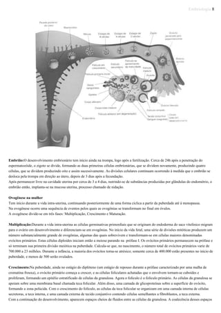 Embriologia 8
Embrião:O desenvolvimento embrionário tem início ainda na trompa, logo após a fertilização. Cerca de 24h após a penetração do
espermatozóide, o zigoto se divide, formando as duas primeiras células embrionárias, que se dividem novamente, produzindo quatro
células, que se dividem produzindo oito e assim sucessivamente. As divisões celulares continuam ocorrendo à medida que o embrião se
desloca pela trompa em direção ao útero, depois de 3 dias após a fecundação.
Após permanecer livre na cavidade uterina por cerca de 3 a 4 dias, nutrindo-se de substâncias produzidas por glândulas do endométrio, o
embrião então, implanta-se na mucosa uterina, processo chamado de nidação.
Ovogênese na mulher
Tem início durante a vida intra-uterina, continuando posteriormente de uma forma cíclica a partir da puberdade até à menopausa.
Na ovogênese ocorre uma sequência de eventos pelos quais as ovogônias se transformam no final em óvulos.
A ovogênese divide-se em três fases: Multiplicação, Crescimento e Maturação.
Multiplicação:Durante a vida intra-uterina as células germinativas primordiais que se originam do endoderma do saco vitelínico migram
para o ovário em desenvolvimento e diferenciam-se em ovogônias. No início da vida fetal, uma série de divisões mitóticas produzem um
número substancialmente grande de ovogônias, algumas das quais sobrevivem e transformam-se em células maiores denominadas
ovócitos primários. Estas células diploides iniciam então a meiose parando na prófase I. Os ovócitos primários permanecem na prófase e
só terminam sua primeira divisão meiótica na puberdade. Calcula-se que, no nascimento, o número total de ovócitos primários varie de
700.000 a 23 milhões. Durante a infância, a maioria dos ovócitos torna-se atrésico; somente cerca de 400.000 estão presentes no início de
puberdade, e menos de 500 serão ovulados.
Crescimento:Na puberdade, ainda no estágio do diplóteno (um estágio de repouso durante a prófase caracterizado por uma malha de
cromatina frouxa), o ovócito primário começa a crescer, e as células foliculares achatadas que o envolvem tornam-se cuboides e
proliferam, formando um epitélio estratificado de células da granulosa. Agora o folículo é o folículo primário. As células da granulosa se
apoiam sobre uma membrana basal chamada teca folicular. Além disso, uma camada de glicoproteínas sobre a superfície do ovócito,
formando a zona pelúcida. Com o crescimento do folículo, as células da teca folicular se organizam em uma camada interna de células
secretoras, a teca interna, e uma camada externa de tecido conjuntivo contendo células semelhantes a fibroblastos, a teca externa.
Com a continuação do desenvolvimento, aparecem espaços cheios de fluidos entre as células da granulosa. A coalecência desses espaços
 
