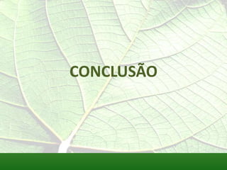 CONCLUSÃO
 