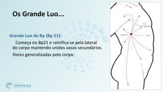 Os Grande Luo...
Grande Luo do Bp (Bp 21):
Começa no Bp21 e ramifica-se pela lateral
do corpo mantendo unidos vasos secundários.
Dores generalizadas pelo corpo.
 