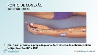 PONTO DE CONEXÃO
INTESTINO GROSSO
• IG6 - 3 cun proximal à prega do punho, face externa do antebraço, linha
de ligação entre IG5 e IG11.
 