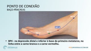 PONTO DE CONEXÃO
BAÇO-PÂNCREAS
• BP4 - na depressão distal e inferior à base do primeiro metatarso, na
linha entre a carne branca e a carne vermelha.
 