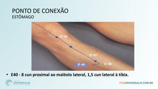 PONTO DE CONEXÃO
ESTÔMAGO
• E40 - 8 cun proximal ao maléolo lateral, 1,5 cun lateral à tíbia.
 