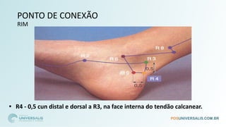 PONTO DE CONEXÃO
RIM
• R4 - 0,5 cun distal e dorsal a R3, na face interna do tendão calcanear.
 