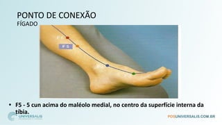 PONTO DE CONEXÃO
FÍGADO
• F5 - 5 cun acima do maléolo medial, no centro da superfície interna da
tíbia.
 