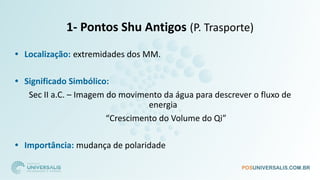 1- Pontos Shu Antigos (P. Trasporte)
• Localização: extremidades dos MM.
• Significado Simbólico:
Sec II a.C. – Imagem do movimento da água para descrever o fluxo de
energia
“Crescimento do Volume do Qi”
• Importância: mudança de polaridade
 