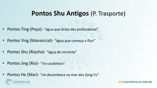 Pontos Shu Antigos (P. Trasporte)
• Pontos Ting (Poço)- “água que brota das profundezas”
• Pontos Ying (Manancial)- “água que começa a fluir”
• Pontos Shu (Riacho)- “água de corrente”
• Pontos Jing (Rio)- “rio caudaloso”
• Pontos He (Mar)- “rio desemboca no mar dos Zang Fu”
 