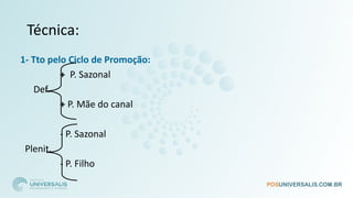 Técnica:
1- Tto pelo Ciclo de Promoção:
+ P. Sazonal
Def.
+ P. Mãe do canal
- P. Sazonal
Plenit.
- P. Filho
 