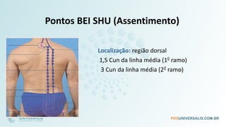 Pontos BEI SHU (Assentimento)
Localização: região dorsal
1,5 Cun da linha média (10
ramo)
3 Cun da linha média (20
ramo)
 