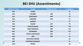 BEI SHU (Assentimento)
Pontos 1 º ramo Função Pontos 2º ramo Localização
B11 OSSOS - T1
B13 PULMÃO B42 T3
B14 PERICARDIO B43 T4
B15 CORAÇÃO B44 T5
B17 SANGUE - T7
B18 FIGADO B47 T9
B19 VISICULA BILIAR B48 T10
B20 BAÇO PANCREAS B49 T11
B21 ESTOMAGO B50 T12
B22 TRIPLO AQUECEDOR B51 L1
B23 RIM B52 L2
B25 INTESTINO GROSSO L4
B27 INTESTINO DELGADO S1
B28 BEXIGA S2
 