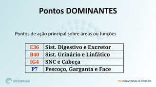 Pontos DOMINANTES
E36 Sist. Digestivo e Excretor
B40 Sist. Urinário e Linfático
IG4 SNC e Cabeça
P7 Pescoço, Garganta e Face
□ Pontos de ação principal sobre áreas ou funções
 