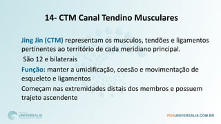 14- CTM Canal Tendino Musculares
□ Jing Jin (CTM) representam os musculos, tendões e ligamentos
pertinentes ao território de cada meridiano principal.
□ São 12 e bilaterais
□ Função: manter a umidificação, coesão e movimentação de
esqueleto e ligamentos
□ Começam nas extremidades distais dos membros e possuem
trajeto ascendente
 