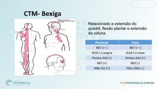 CTM- Bexiga
Plenitude Vazio
B67 (+ -) B67 (+ -)
ID18 (-) sangria ID18 (+) moxa
Pontos Ashi (-) Pontos Ashi (+)
B67 (+) B65 (-)
Mãe IG1 (+) Filho VB41 (-)
Relacionado a extensão do
quadril, flexão plantar e extensão
da coluna.
 