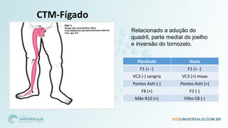 CTM-Fígado
Plenitude Vazio
F1 (+ -) F1 (+ -)
VC3 (-) sangria VC3 (+) moxa
Pontos Ashi (-) Pontos Ashi (+)
F8 (+) F2 (-)
Mãe R10 (+) Filho C8 (-)
Relacionado a adução do
quadril, parte medial do joelho
e inversão do tornozelo.
 