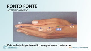 PONTO FONTE
INTESTINO GROSSO
• IG4 - ao lado do ponto médio do segundo osso metacarpo.
 