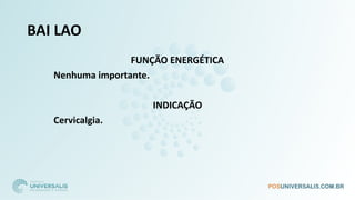 BAI LAO
FUNÇÃO ENERGÉTICA
Nenhuma importante.
INDICAÇÃO
Cervicalgia.
 