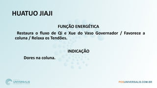 HUATUO JIAJI
FUNÇÃO ENERGÉTICA
Restaura o fluxo de Qi e Xue do Vaso Governador / Favorece a
coluna / Relaxa os Tendões.
INDICAÇÃO
Dores na coluna.
 