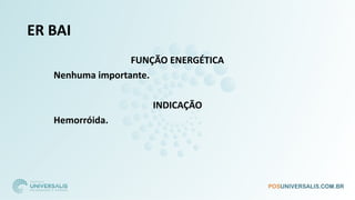 ER BAI
FUNÇÃO ENERGÉTICA
Nenhuma importante.
INDICAÇÃO
Hemorróida.
 