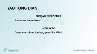 YAO TONG DIAN
FUNÇÃO ENERGÉTICA
Nenhuma importante.
INDICAÇÃO
Dores em coluna lombar, quadril e MMII.
 