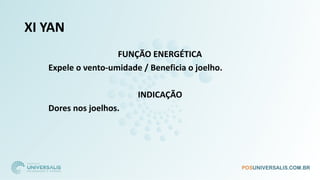 XI YAN
FUNÇÃO ENERGÉTICA
Expele o vento-umidade / Beneficia o joelho.
INDICAÇÃO
Dores nos joelhos.
 