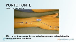 PONTO FONTE
TRIPLO AQUECEDOR
• TA4 - no centro da prega de extensão do punho, por baixo do tendão
extensor comum dos dedos.
 