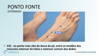 PONTO FONTE
ESTÔMAGO
• E42 - no ponto mais alto do dorso do pé, entre os tendões dos
músculos extensor do hálux e extensor comum dos dedos.
 